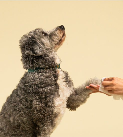 Probiotic Pet Wipes