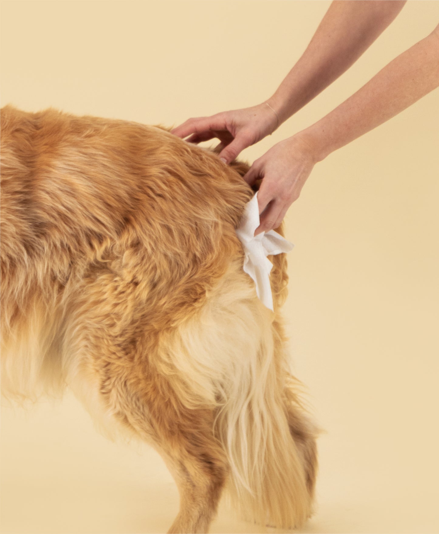 Probiotic Pet Wipes