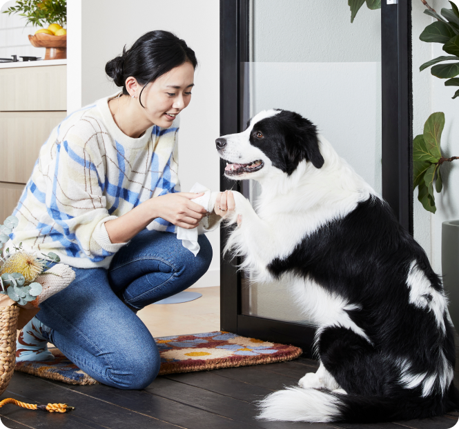 Probiotic Pet Wipes