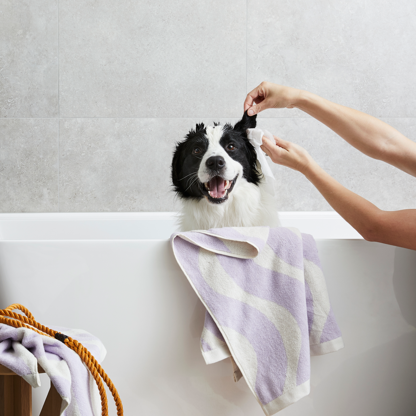 Probiotic Pet Ear Wipes