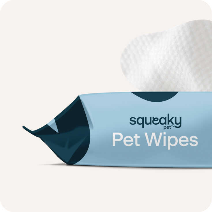 Squeaky Probiotic Pet Wipes Large Pack